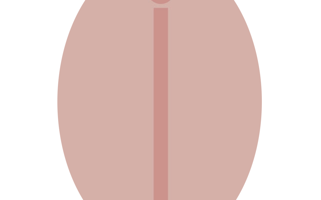 Piel