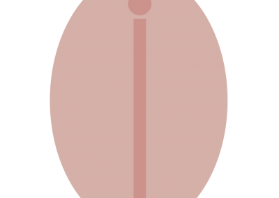 Piel